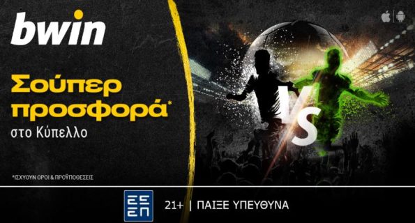bwin 140224